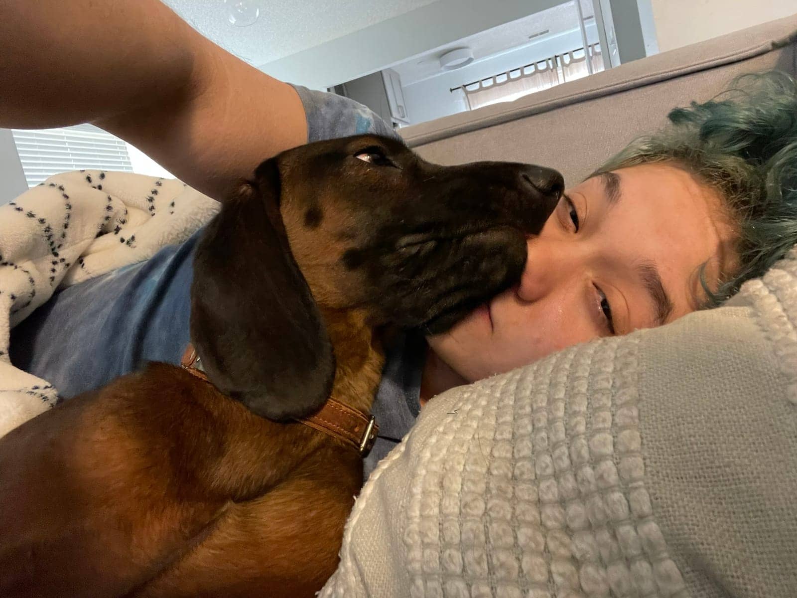 A dog in Cal's care