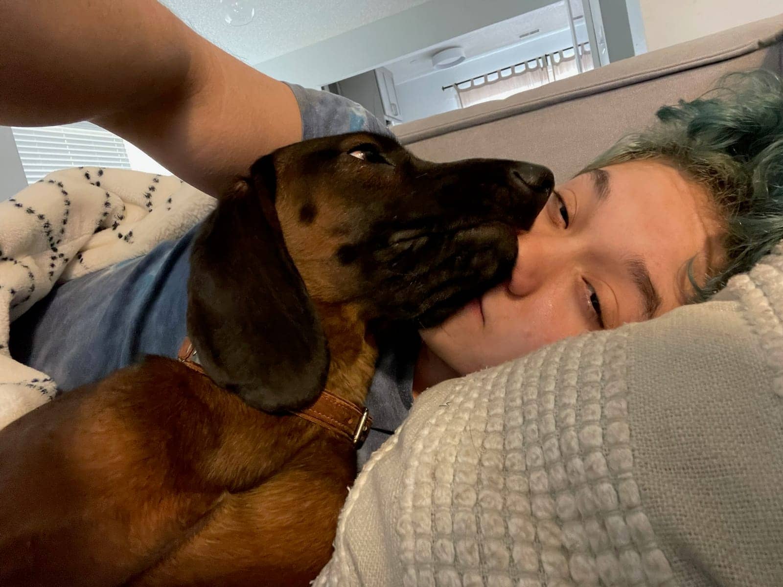 A dog in Cal's care