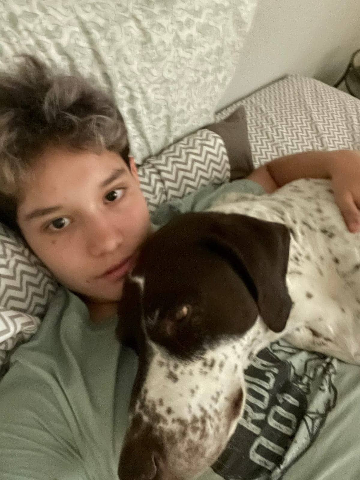 A dog in Cal's care