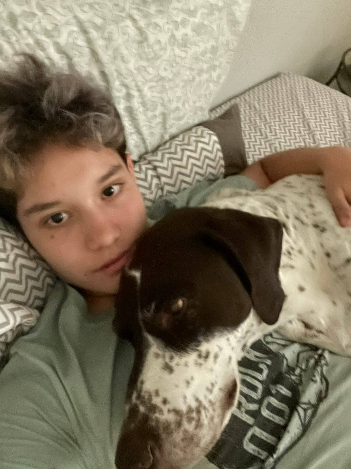 A dog in Cal's care