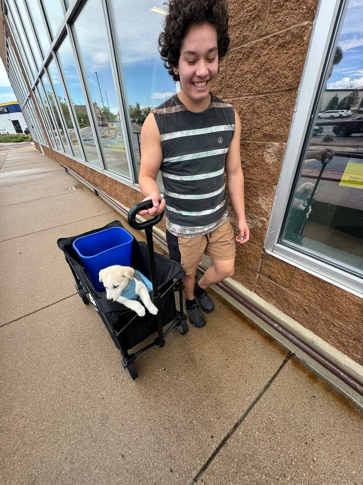 A dog in Cal's care