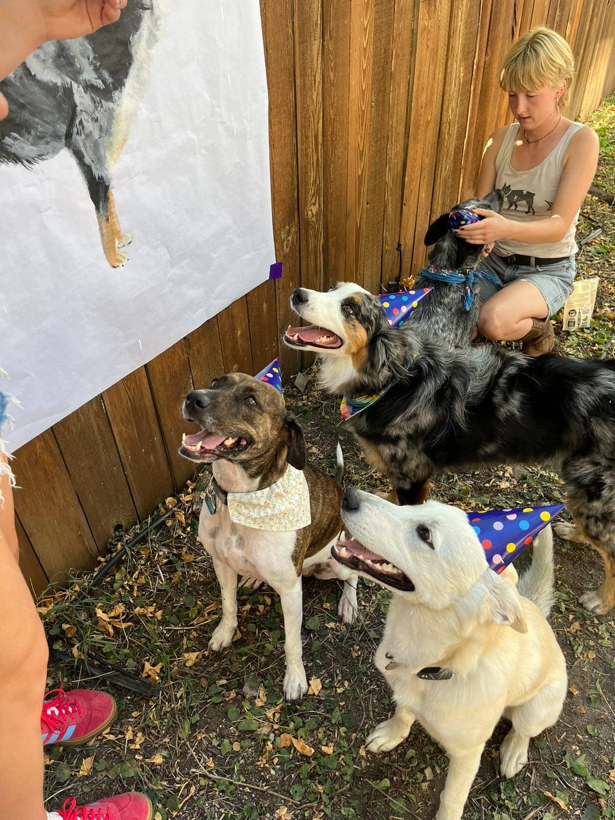 A dog in Cal's care