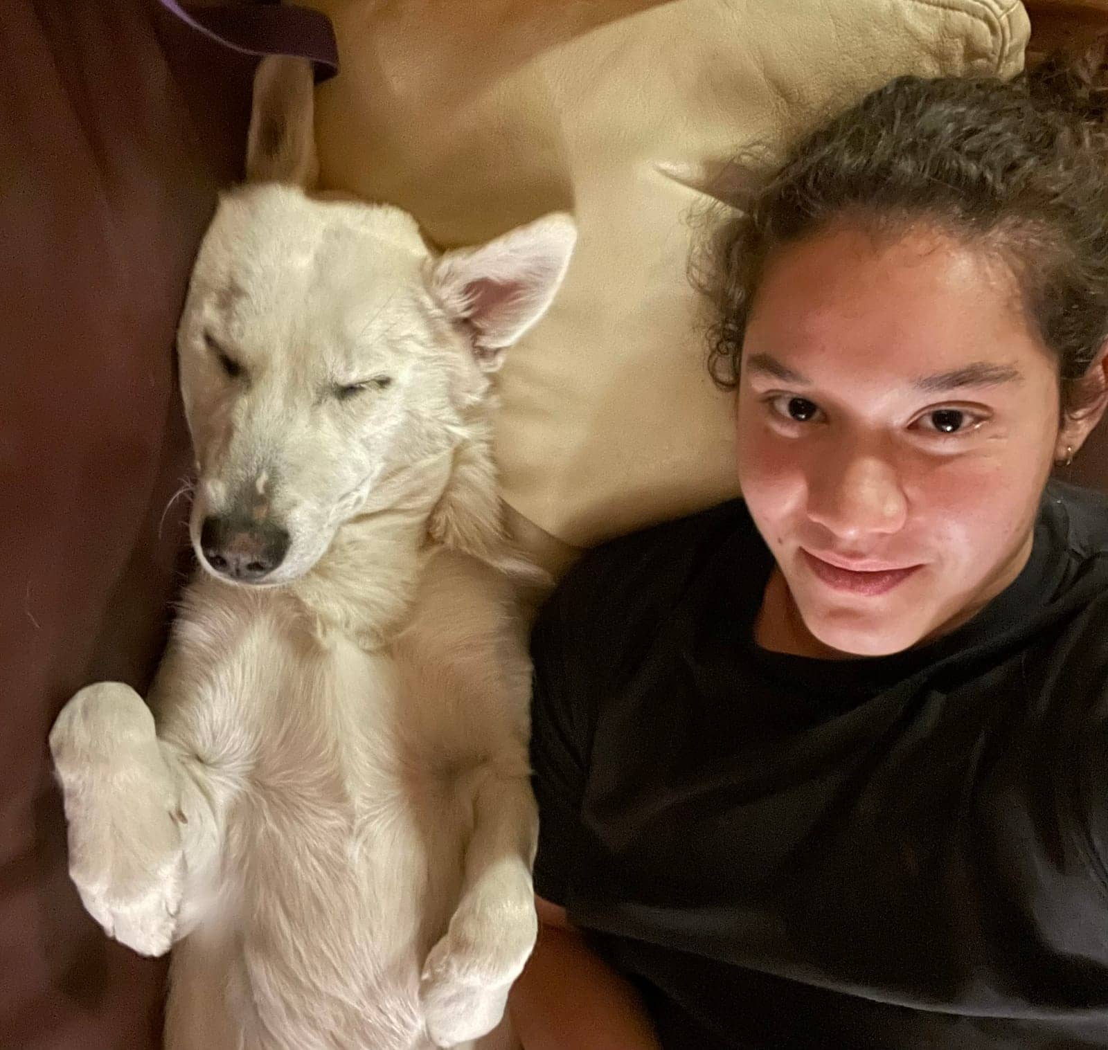 A dog in Cal's care