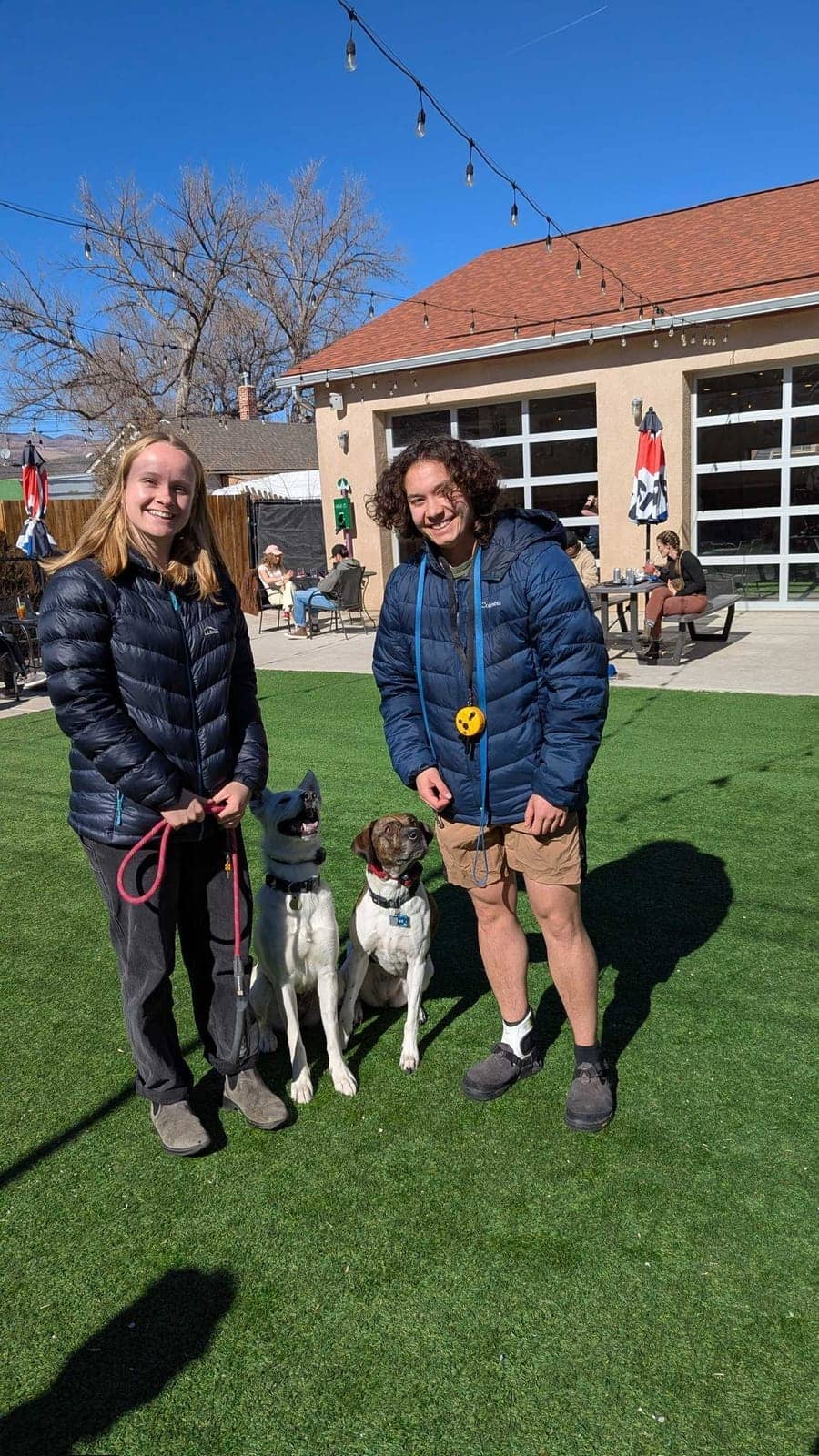 A dog in Cal's care