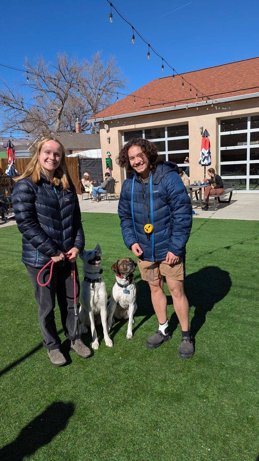 A dog in Cal's care
