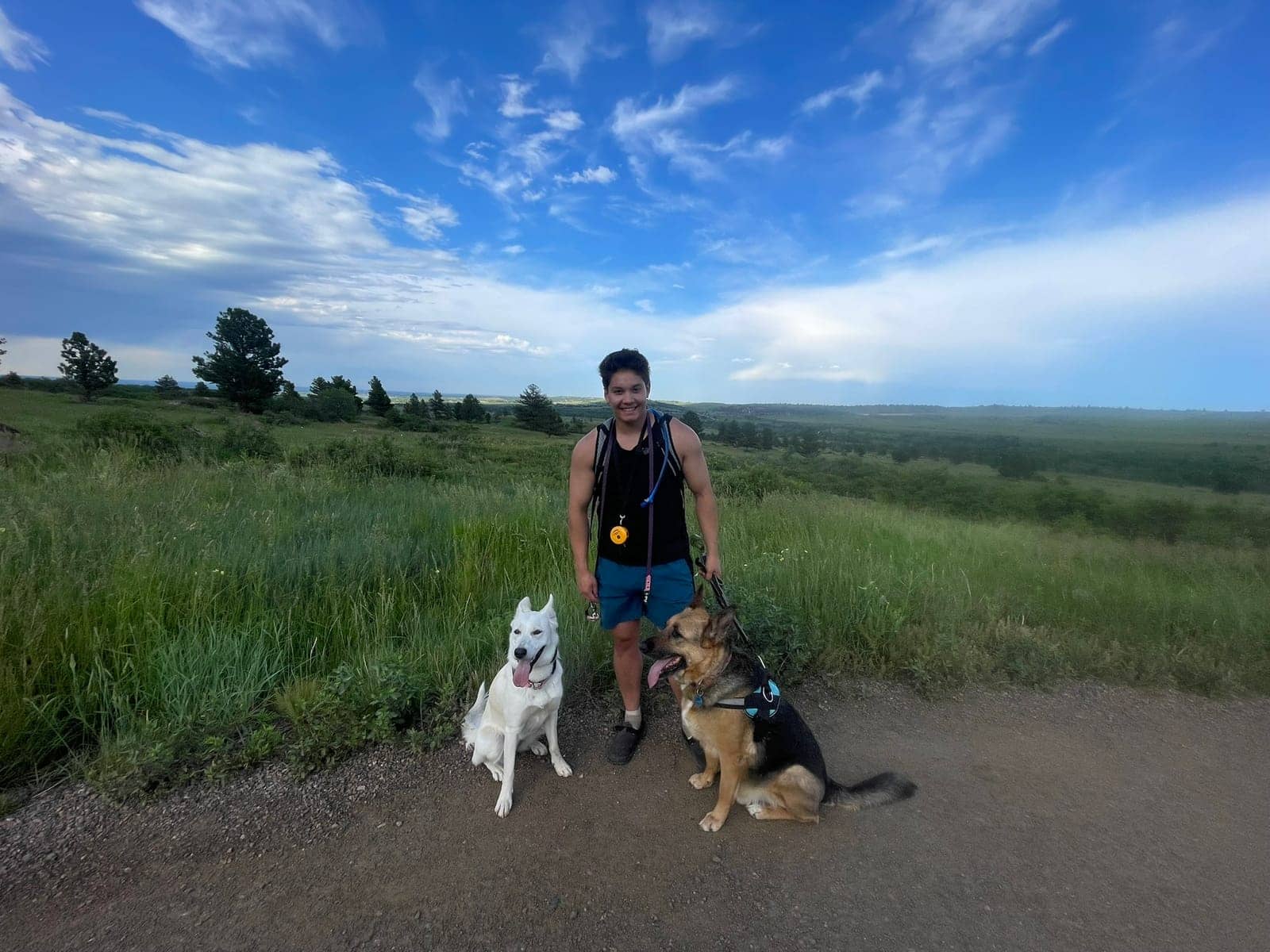 A dog in Cal's care