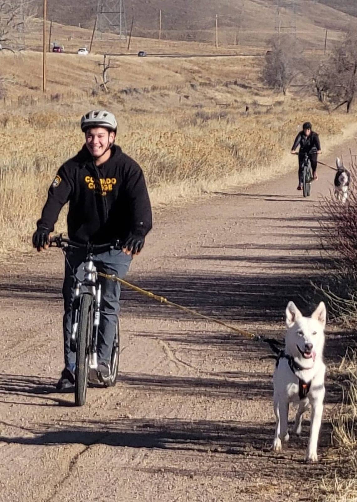 A dog in Cal's care