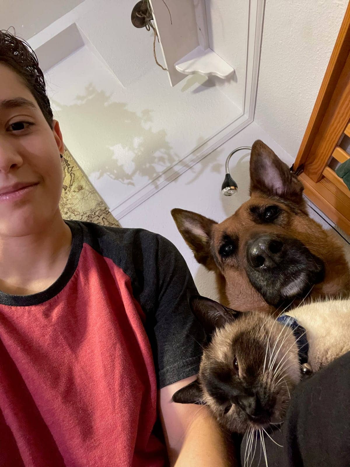 A dog in Cal's care