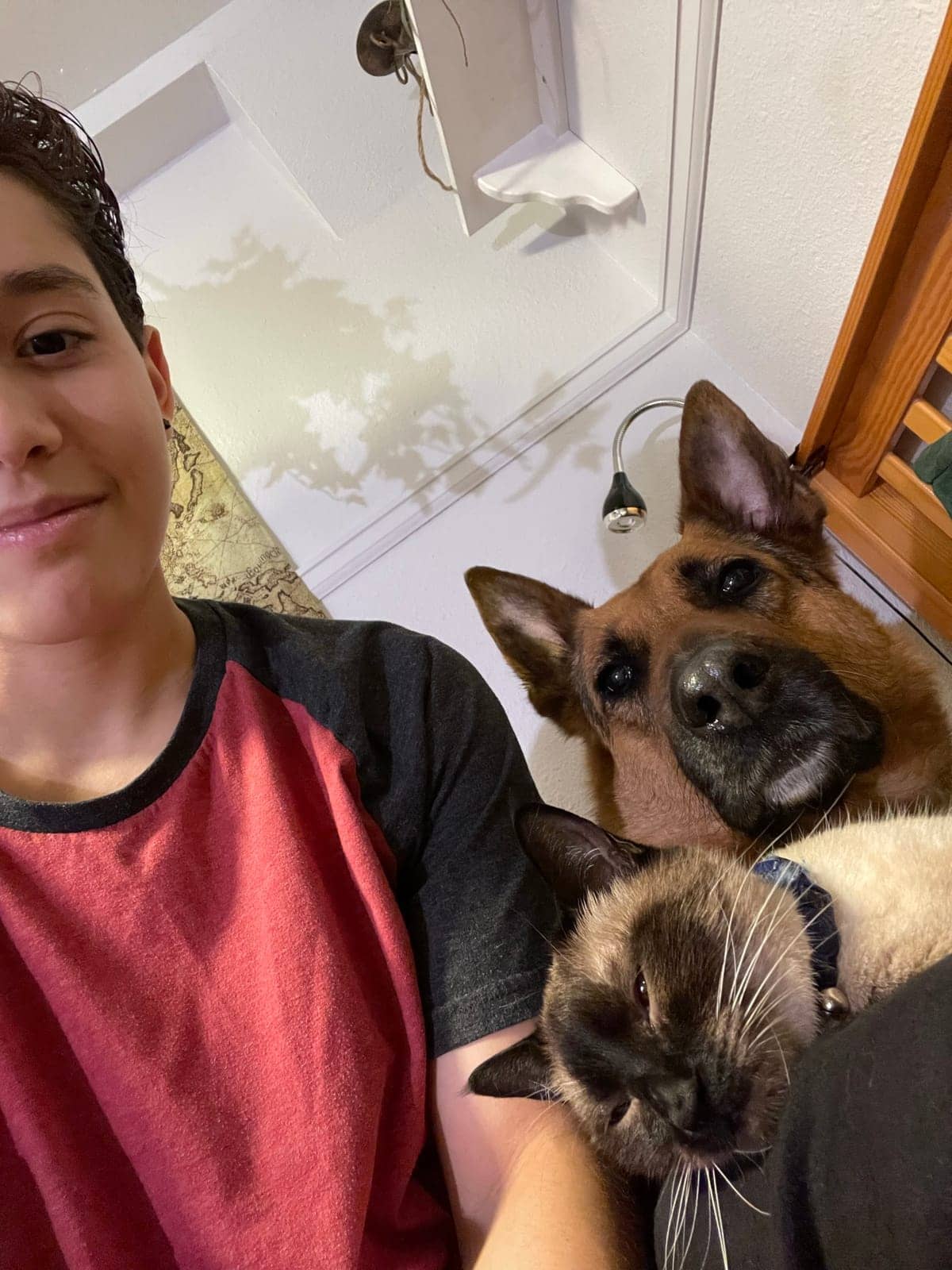 A dog in Cal's care