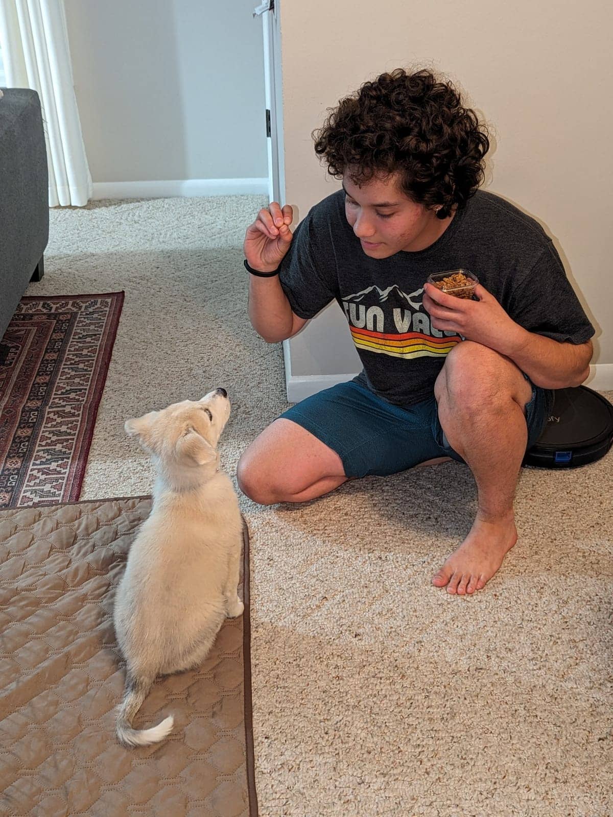 A dog in Cal's care