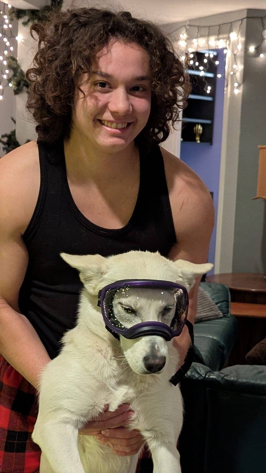 A dog in Cal's care
