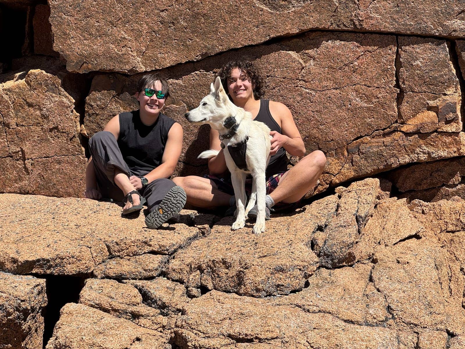 A dog in Cal's care