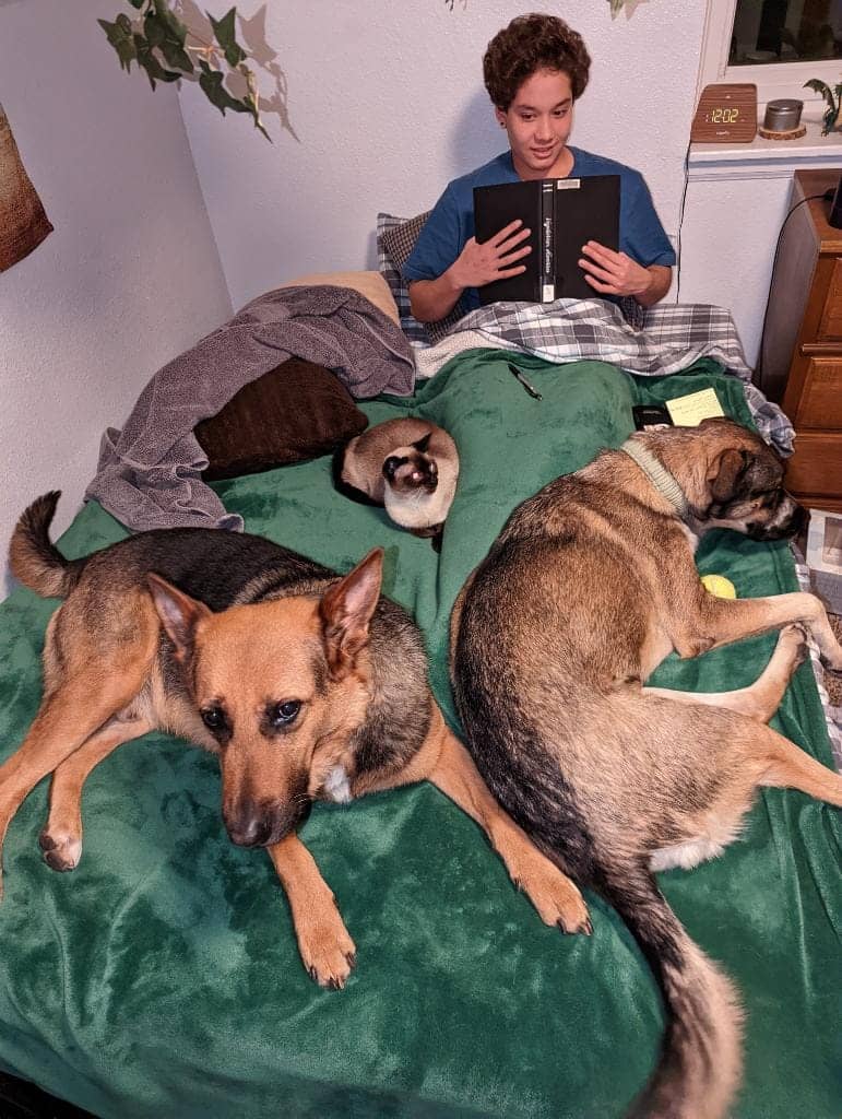A dog in Cal's care