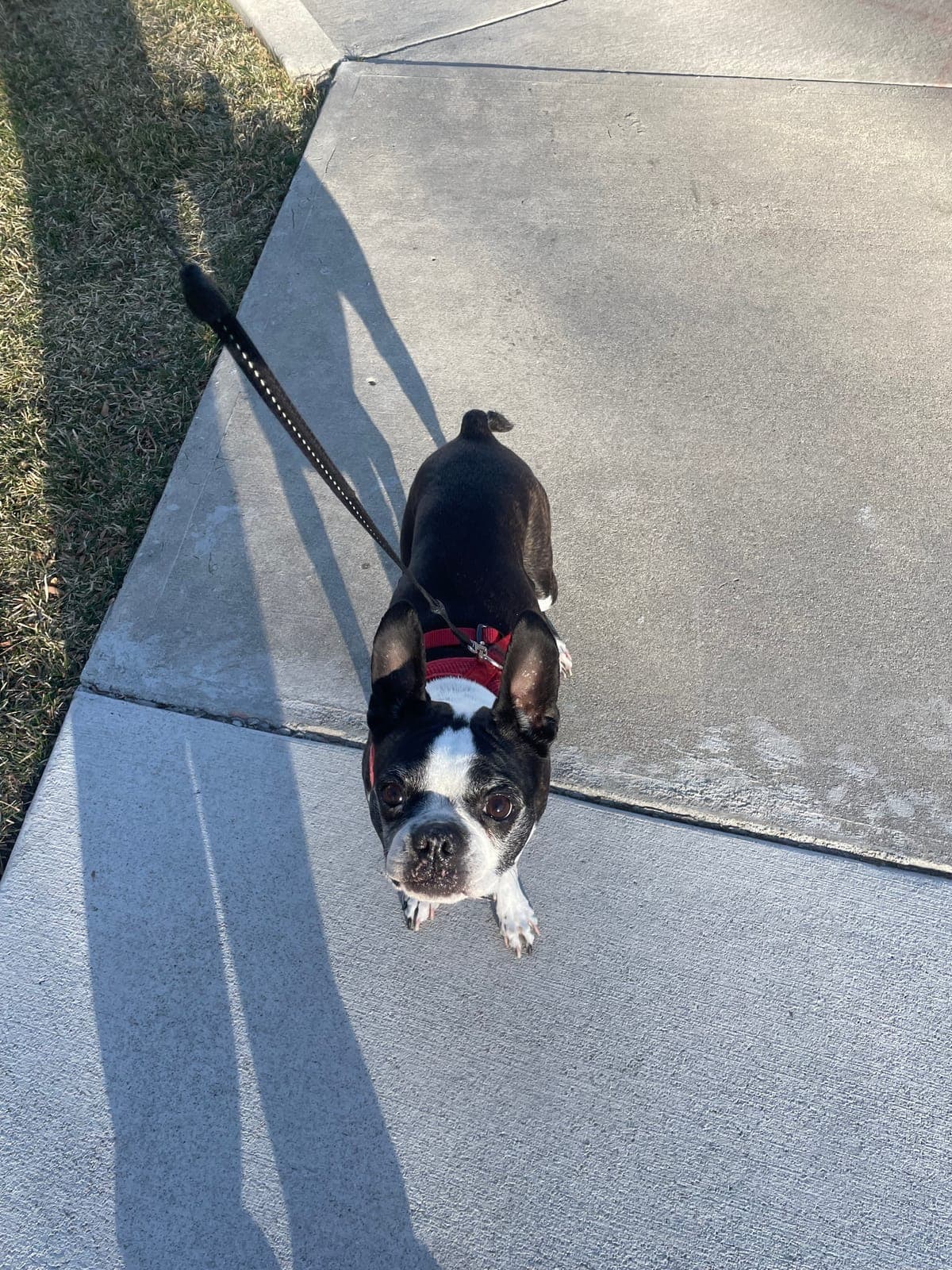 Check-In with Cal