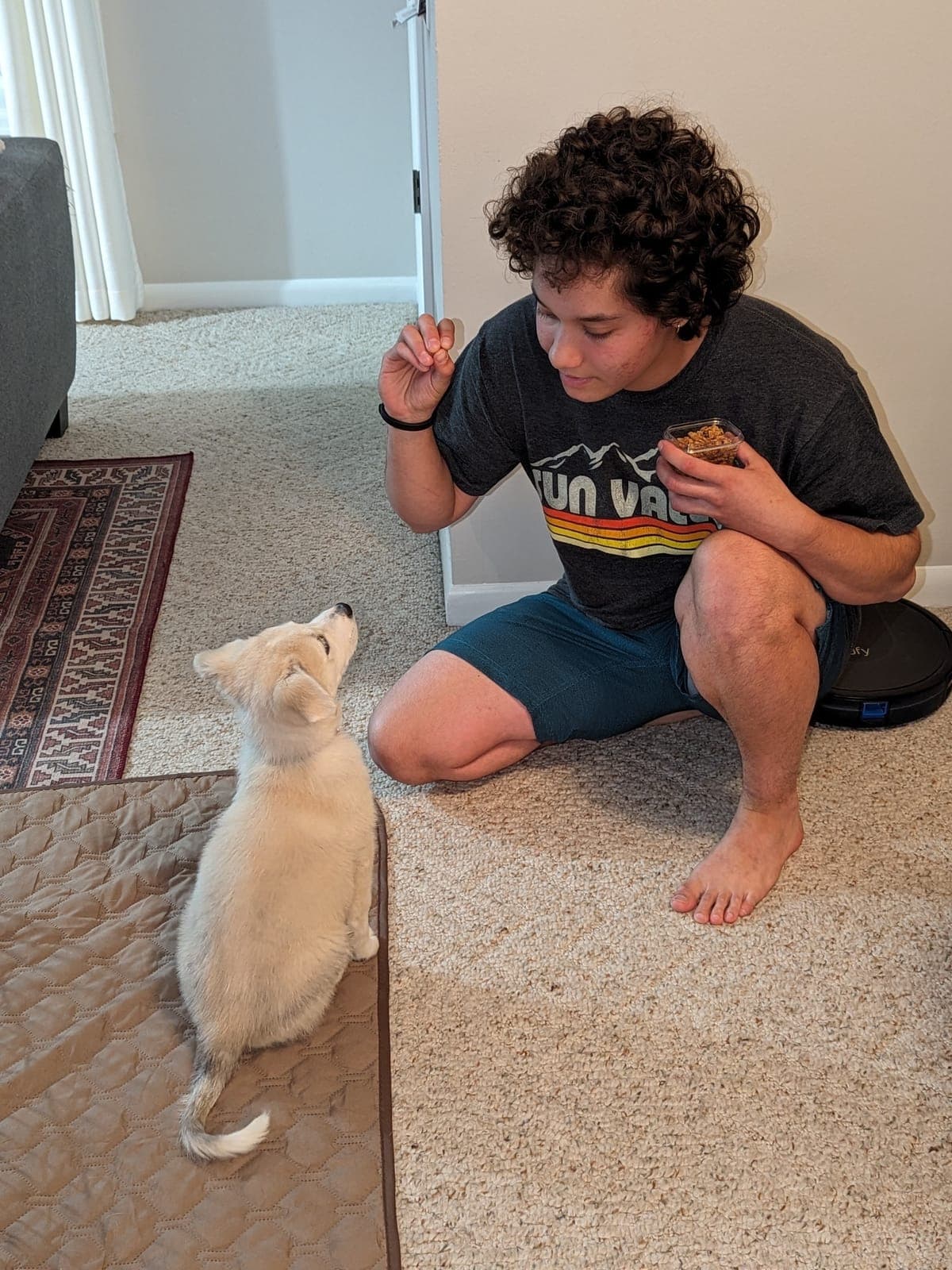 Training with Cal